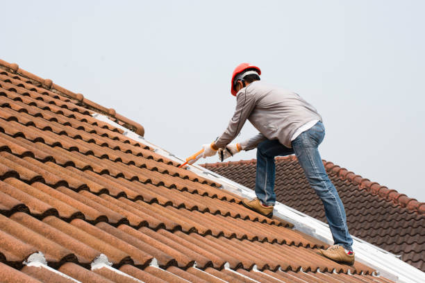 Best Chimney Flashing Repair  in Wheelersburg, OH